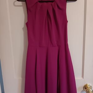 Express Fuchsia Sleeveless Mini Dress